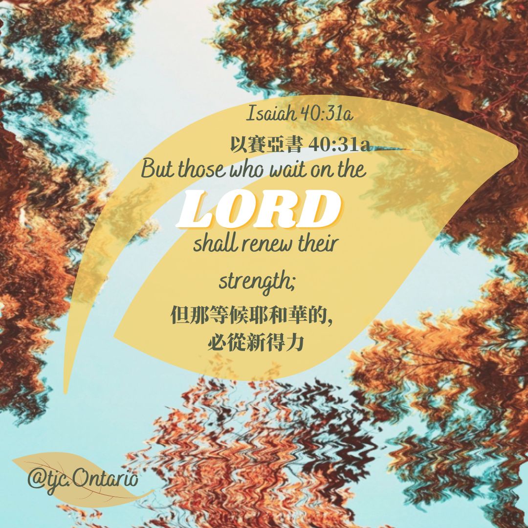 308067251_2577083769095754_6624694584889504111_n